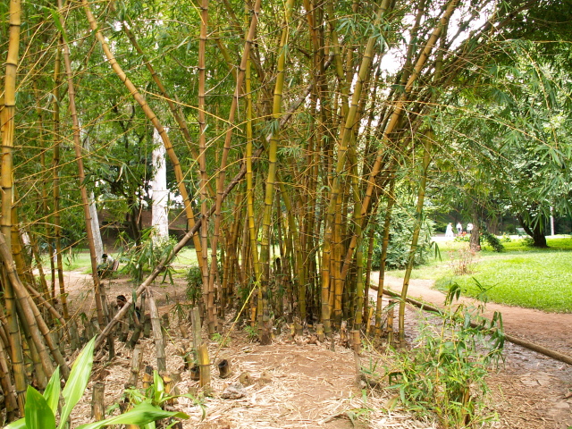 Scaled image fa/PICT9130.JPG 