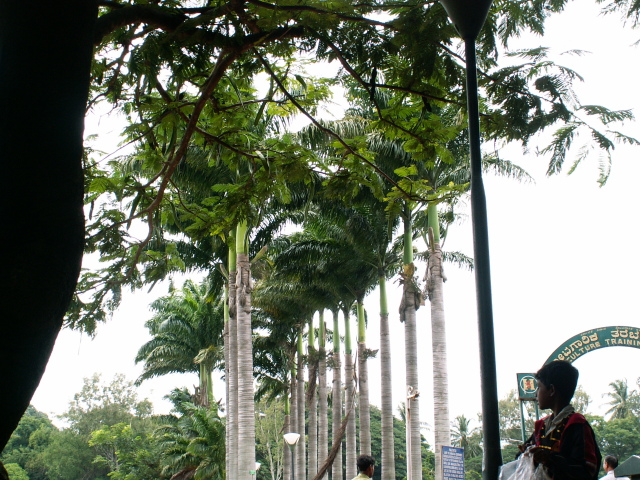 Scaled image fa/PICT9139.JPG 