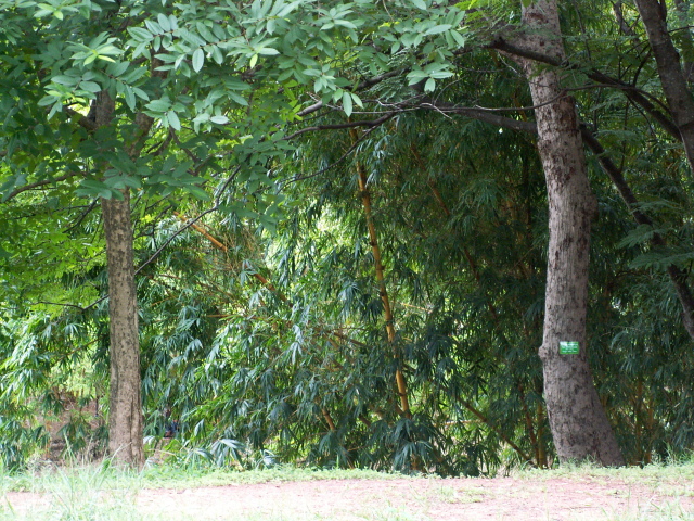 Scaled image fa/PICT9193.JPG 