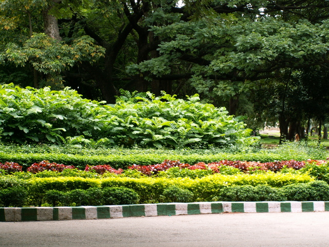 Scaled image fa/PICT9231.JPG 