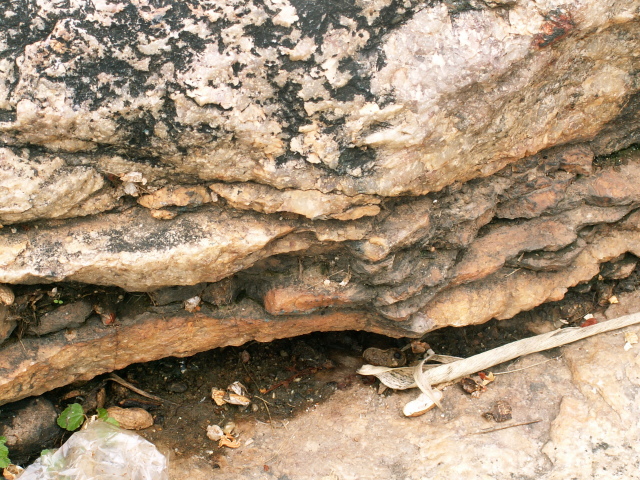 Scaled image szikla/PICT8987.JPG 