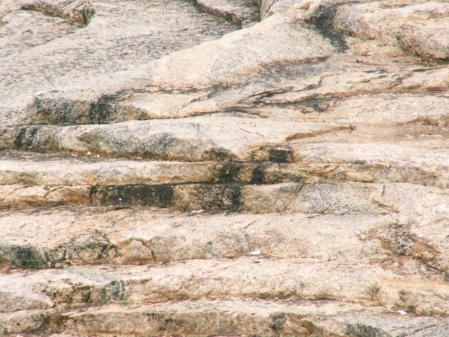 Scaled image szikla/PICT8995.JPG 