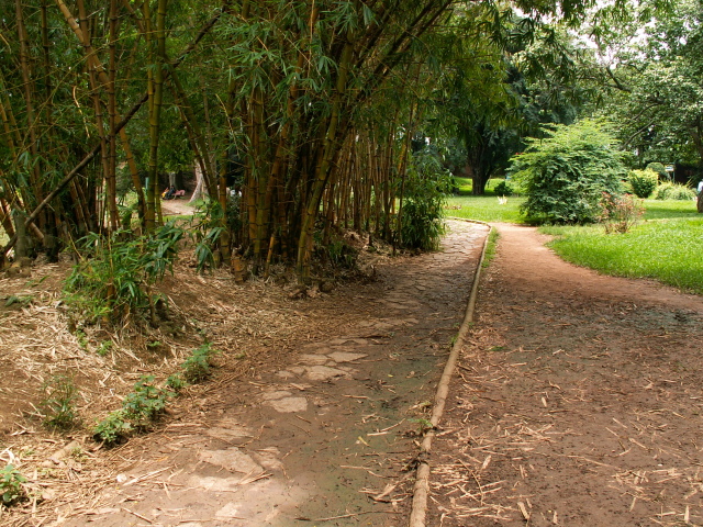 Scaled image PICT9128.JPG 