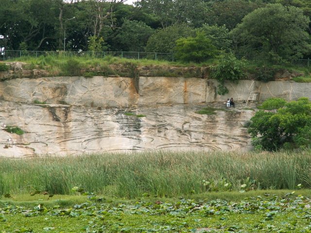 Scaled image PICT9178.JPG 