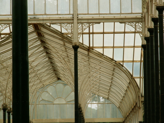 Scaled image PICT9219.JPG 