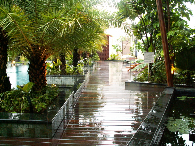 Scaled image PICT8647.JPG 