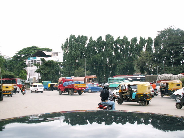 Scaled image PICT8429.JPG 