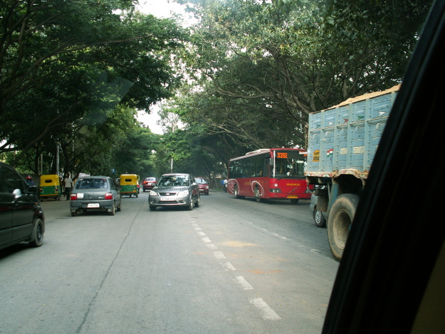 Scaled image PICT8540.JPG 