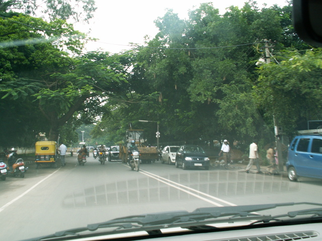 Scaled image PICT8916.JPG 