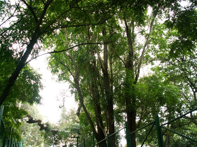 Scaled image PICT8448.JPG 