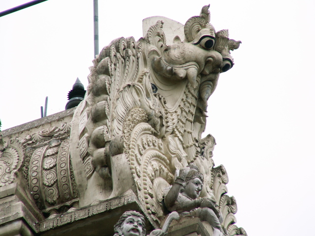 Scaled image PICT8451.JPG 