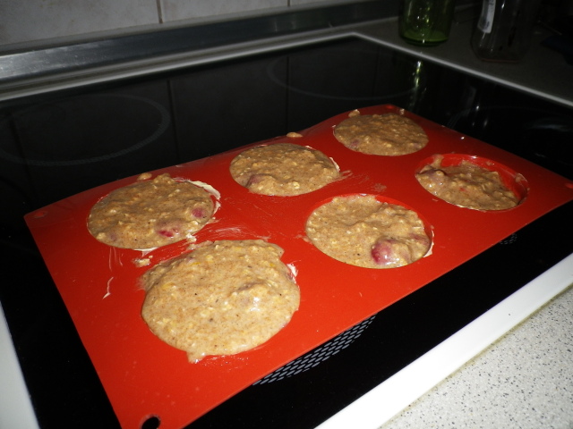 Scaled image IMGP1587.JPG 