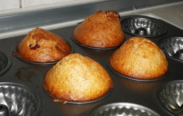 Scaled image IMGP1589.JPG 