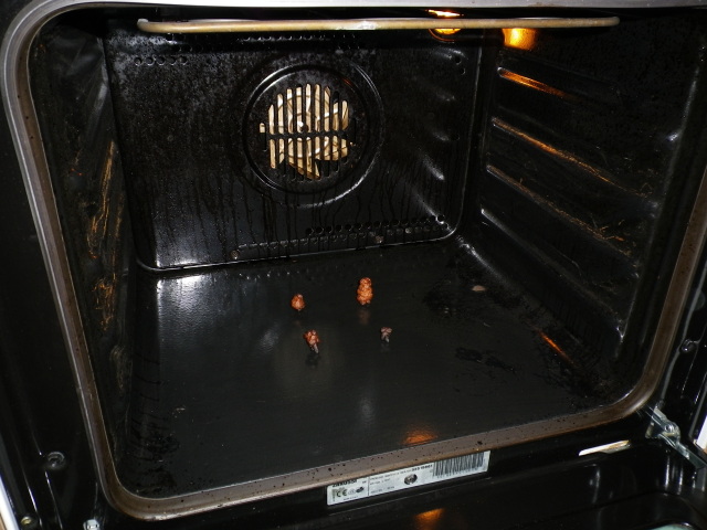 Scaled image IMGP1590.JPG 