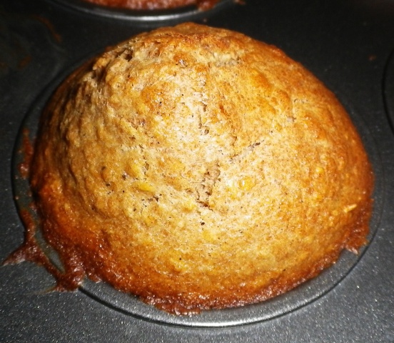 Scaled image IMGP1594.JPG 