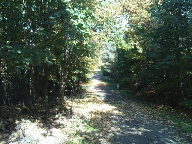 Scaled image dsc01496.jpg 