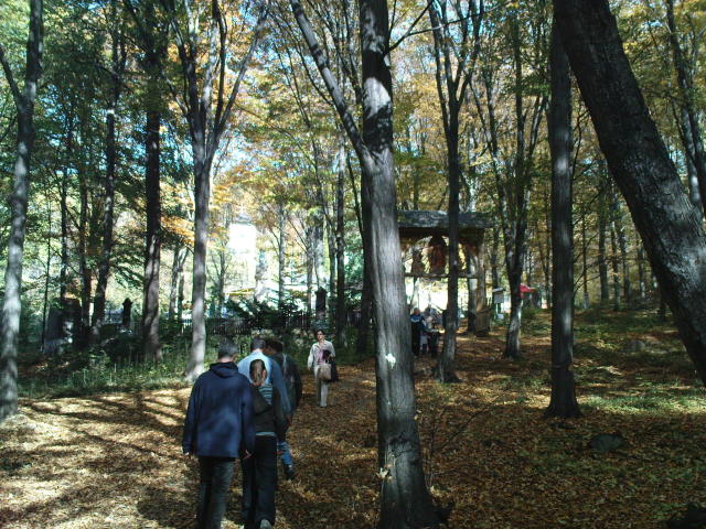 Scaled image dsc01504.jpg 