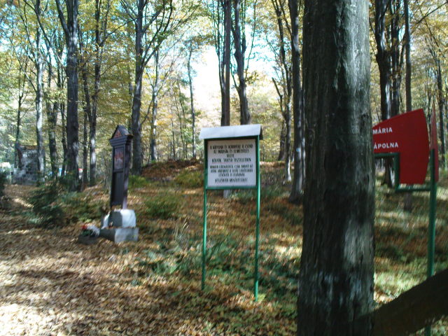 Scaled image dsc01509.jpg 