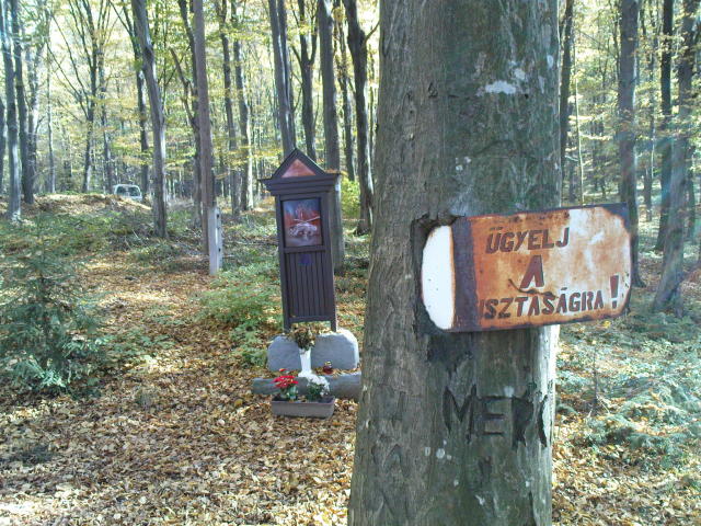 Scaled image dsc01510.jpg 