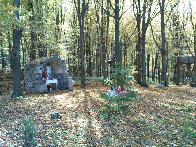 Scaled image dsc01519.jpg 