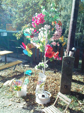 Scaled image dsc01522.jpg 