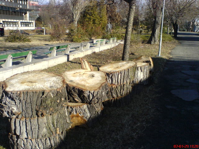 Scaled image laszlokorhaz05.jpg 