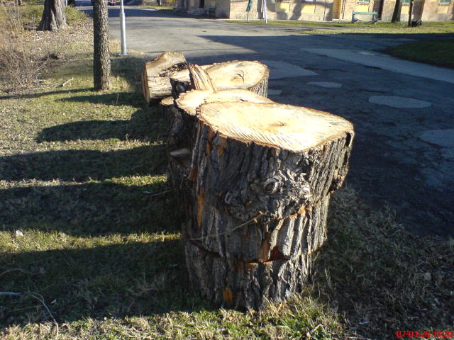 Scaled image laszlokorhaz06.jpg 