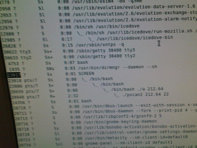 Scaled image dsc00325.jpg 