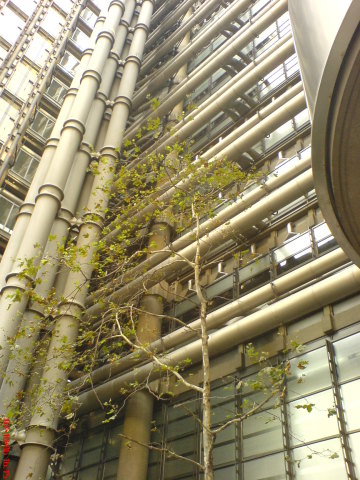 Scaled image dsc04903.jpg 