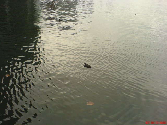 Scaled image dsc05034.jpg 