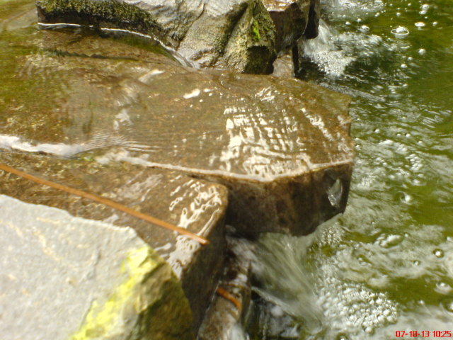 Scaled image dsc05055.jpg 