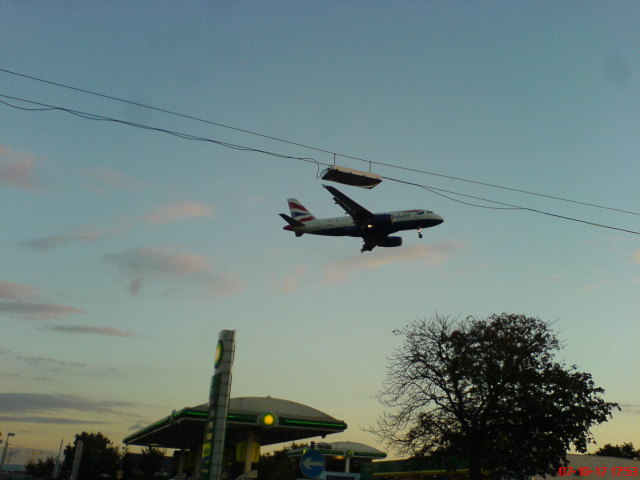 Scaled image dsc05263.jpg 