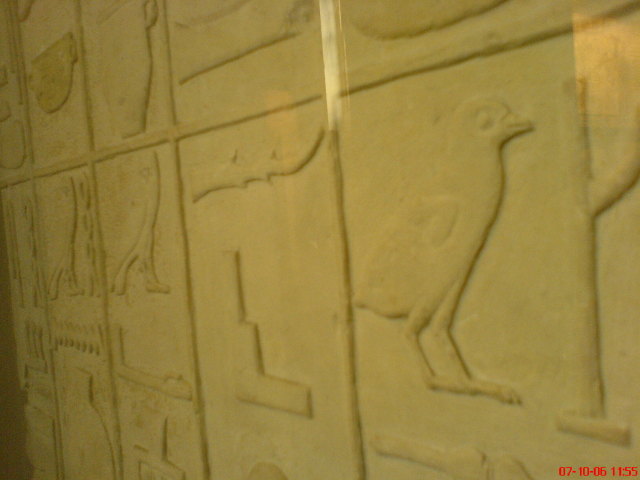 Scaled image dsc04802.jpg 