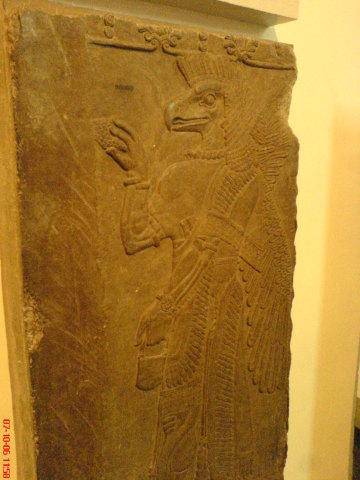 Scaled image dsc04804.jpg 