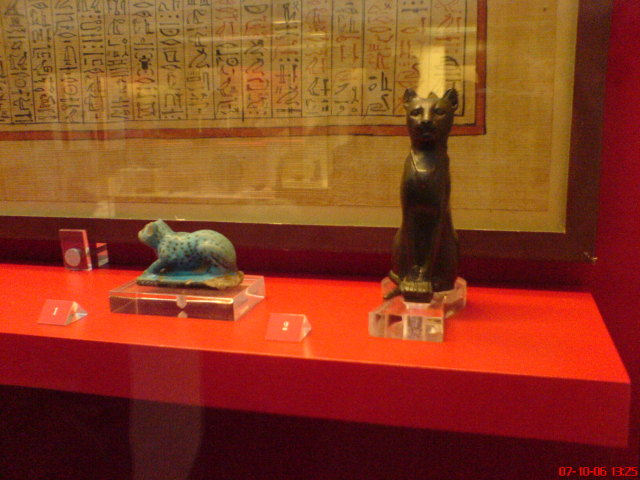 Scaled image dsc04833.jpg 