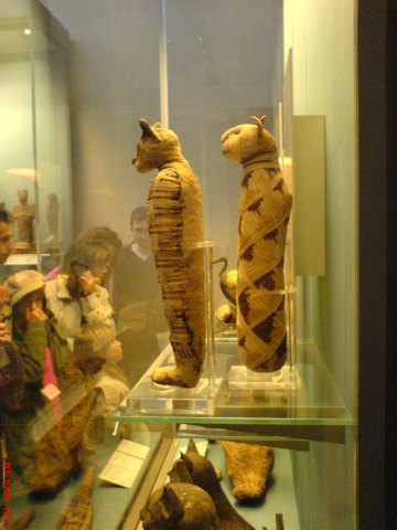 Scaled image dsc04835.jpg 