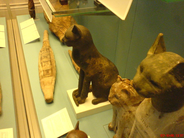 Scaled image dsc04836.jpg 