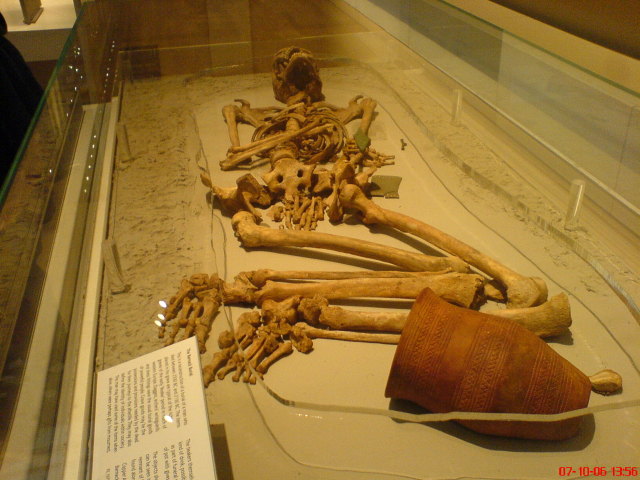 Scaled image dsc04849.jpg 