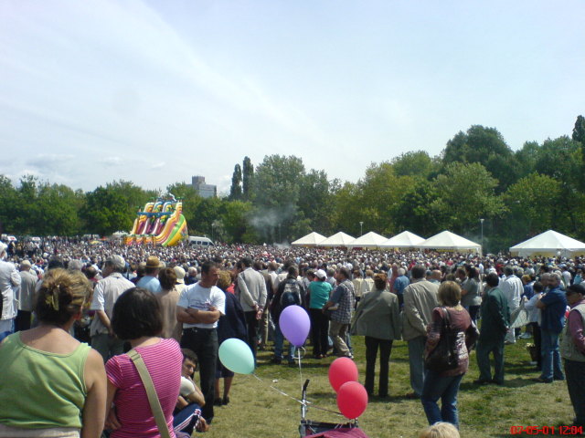 Scaled image majalis2007-48.jpg 