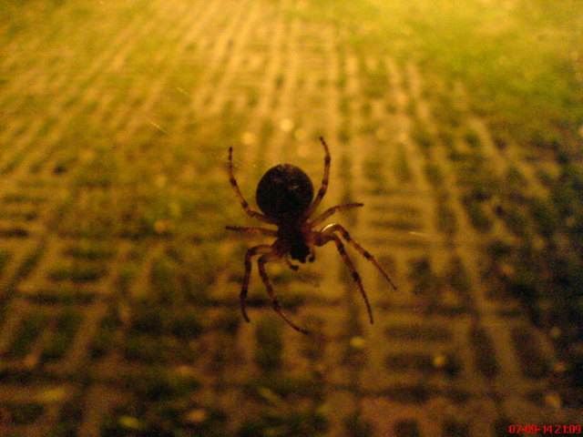 Scaled image dsc04396.jpg 