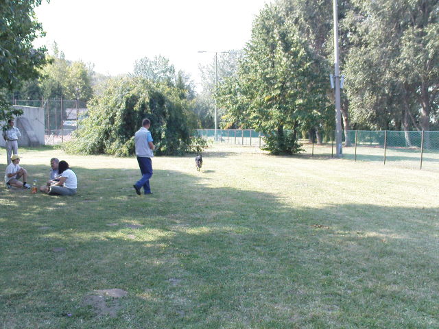 Scaled image dsc03757.jpg 