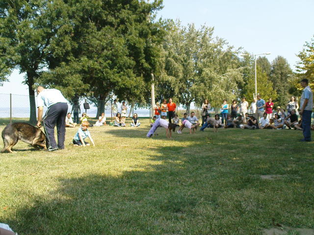 Scaled image dsc03764.jpg 