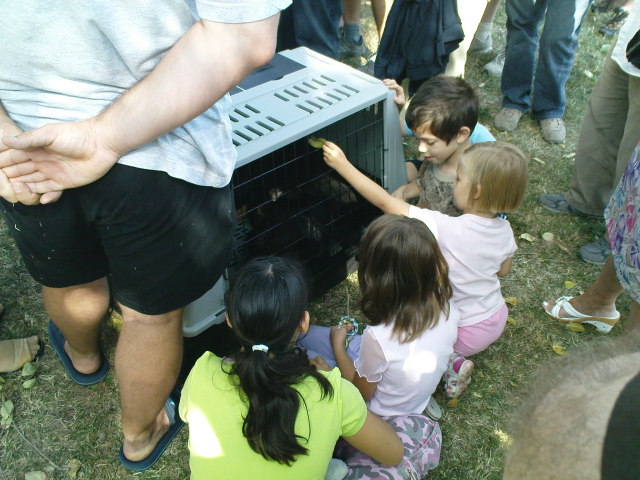 Scaled image dsc03777.jpg 