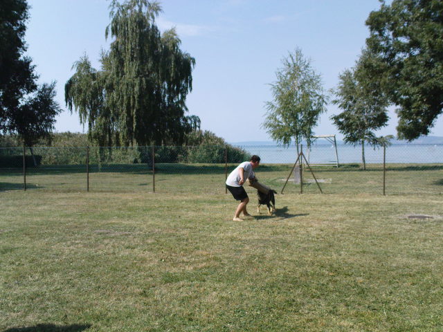 Scaled image dsc03778.jpg 