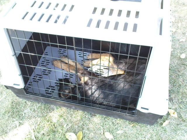 Scaled image dsc03780.jpg 