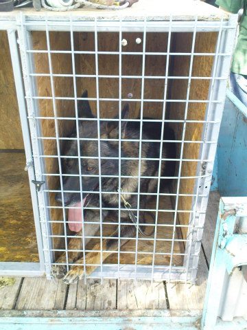 Scaled image dsc03781.jpg 