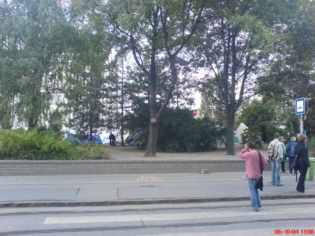 Scaled image nemzethalal01.jpg 