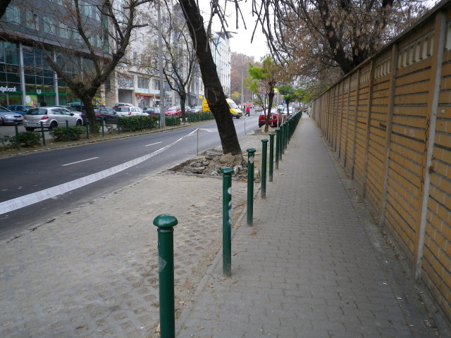 Scaled image IMGP0256.JPG 