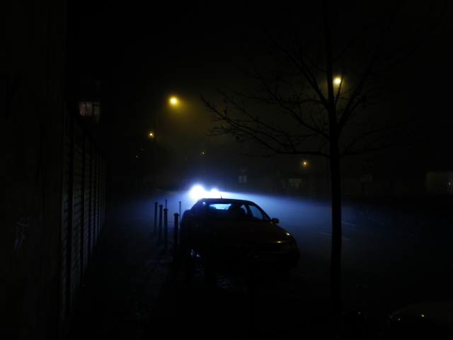 Scaled image IMGP0929.JPG 