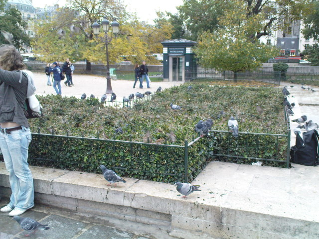 Scaled image dsc01589.jpg 